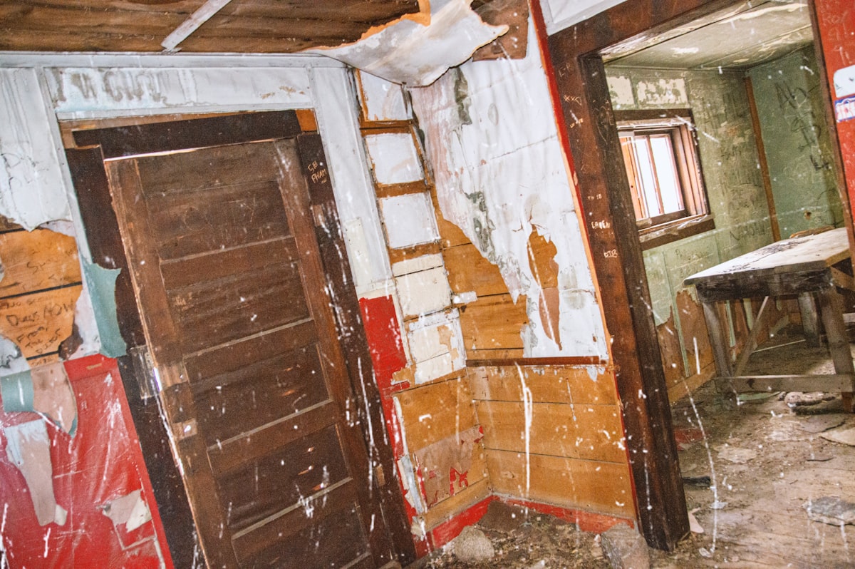 Mold Remediation service in Washington, DC